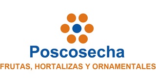 SPE3 X CURSO.jpeg